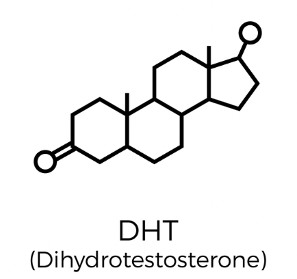 Herbal Temple Root Gro (DHT Blocker) <br> Best Selling Luxury Product for Hair Regrowth